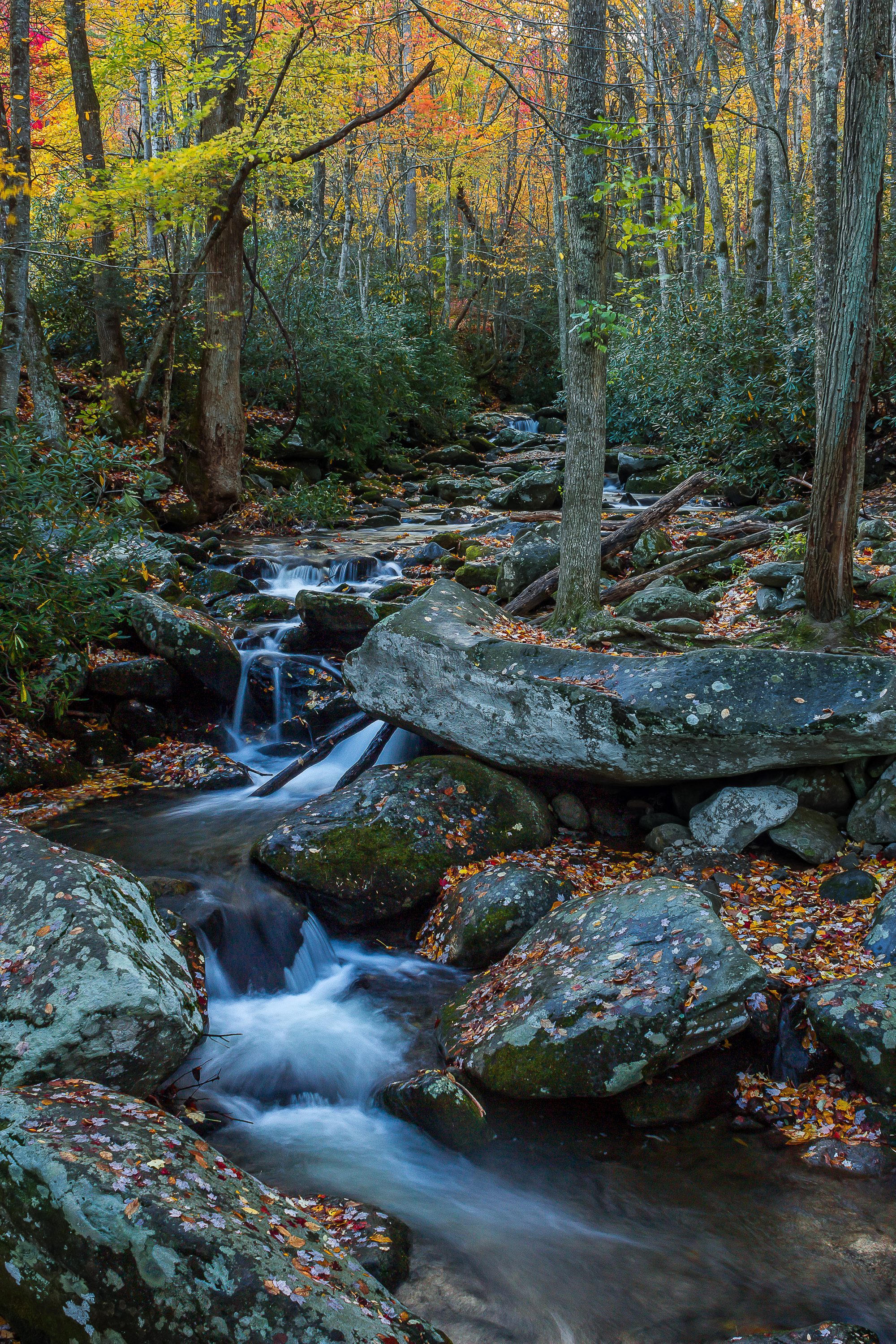 Roaring Fork stream